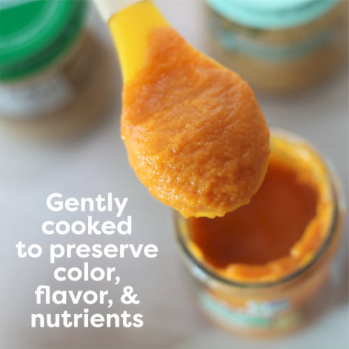 Beech-Nut Organic Stage 1 Sweet Potato Baby Food Jar - Sweet Potato