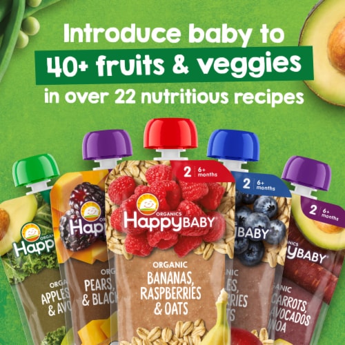 Happy Baby Organics Stage 2 Bananas Raspberries & Oats Organic Baby Food Pouch - Bananas Raspberries & Oats