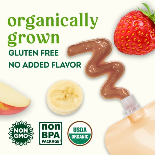 Simple Truth Organic Stage 2 Apple Banana Strawberry Oatmeal Baby Food Pouch - Apple Banana Strawberry Oatmeal