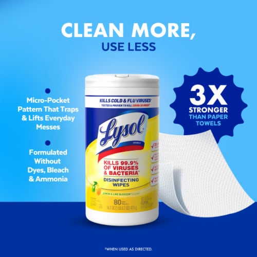 LYSOL® Disinfecting Wipes Lemon & Lime Blossom® Cannister - LYSOL® Disinfecting Wipes Lemon & Lime Blossom® Cannister