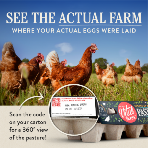 Vital Farms Pasture-Raised Large Brown Grade-A Organic Eggs - 18 ct. / Pasture Raised