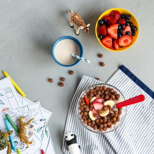 Nature's Path EnviroKidz Koala Crisp Organic Cereal - Choco Chimps
