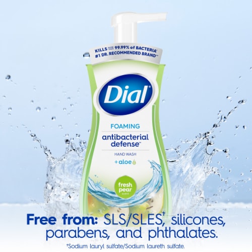 Dial® Antibacterial Defense™ Fresh Pear Scent Foaming Hand Soap - Dial® Antibacterial Defense™ Fresh Pear Scent Foaming Hand Soap