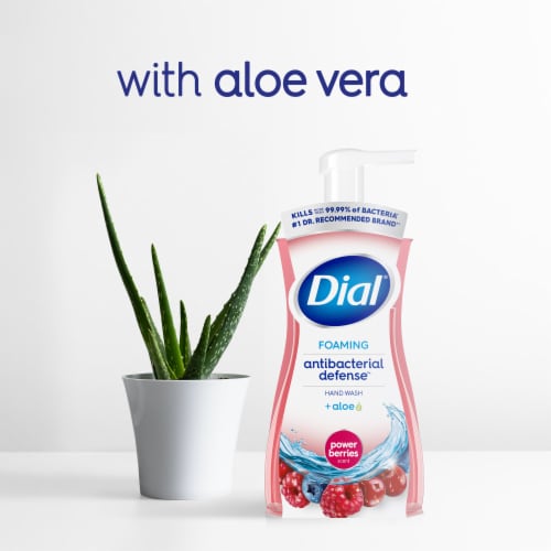 Dial® Antibacterial Defense™ Power Berries Scent Foaming Hand Soap - Dial® Antibacterial Defense™ Power Berries Scent Foaming Hand Soap