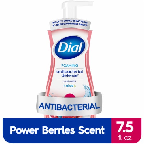 Dial® Antibacterial Defense™ Power Berries Scent Foaming Hand Soap - Dial® Antibacterial Defense™ Power Berries Scent Foaming Hand Soap