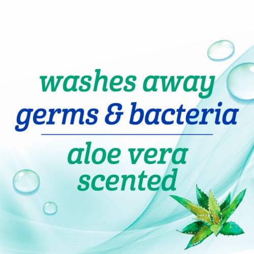 Kroger® Aloe Vera Scent Liquid Hand Soap - Aloe Vera
