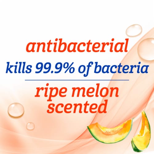 Kroger® Ripe Melon Scent Antibacterial Liquid Hand Soap - Ripe Melon