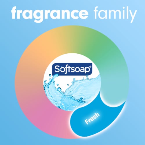 Softsoap Liquid Hand Soap Pump Antibacterial Cool Splash Scent - Softsoap Liquid Hand Soap Pump Antibacterial Cool Splash Scent