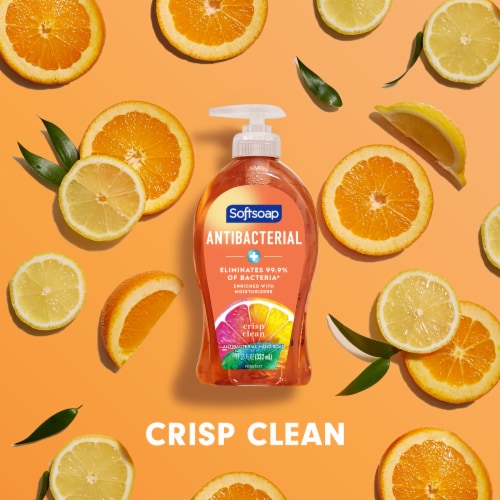 Softsoap Liquid Hand Soap Pump Antibacterial Crisp Clean Scent - Softsoap Liquid Hand Soap Pump Antibacterial Crisp Clean Scent