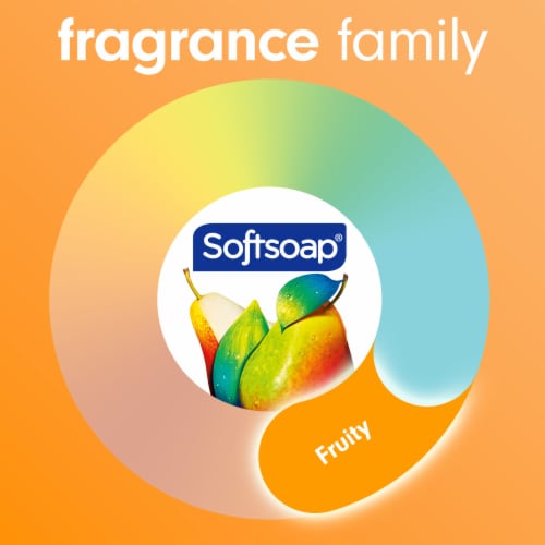 Softsoap Liquid Hand Soap Pump Antibacterial Liquid Kitchen Fresh Hands Crisp Lemon Scent - Softsoap Liquid Hand Soap Pump Antibacterial Liquid Kitchen Fresh Hands Crisp Lemon Scent
