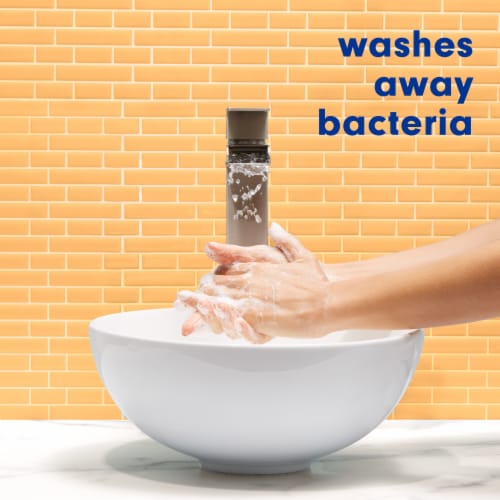 Softsoap Milk and Honey Liquid Hand Soap Kitchen and Bathroom Hand Soap - Softsoap Milk and Honey Liquid Hand Soap Kitchen and Bathroom Hand Soap