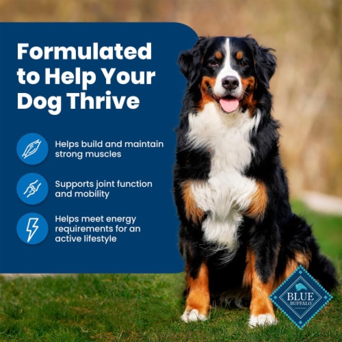 Blue Buffalo Life Protection Formula Natural Adult Dry Dog Food Chicken & Brown Rice - Blue Buffalo Life Protection Formula Natural Adult Dry Dog Food Chicken & Brown Rice