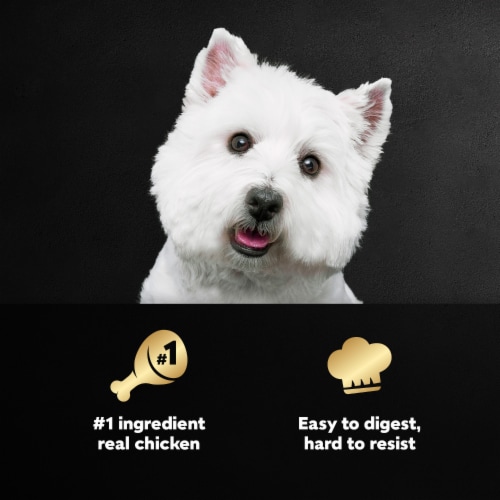 Cesar Adult Soft Wet Dog Food Chicken & Liver Recipe Classic Loaf in Sauce - Cesar Adult Soft Wet Dog Food Chicken & Liver Recipe Classic Loaf in Sauce