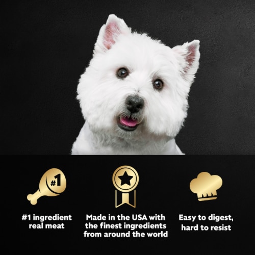 Cesar Adult Soft Wet Dog Food Lamb Recipe Classic Loaf in Sauce - Cesar Adult Soft Wet Dog Food Lamb Recipe Classic Loaf in Sauce