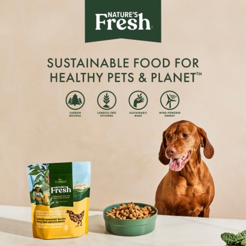 Freshpet Healthy & Natural Dog Food, Fresh Chicken Recipe - Freshpet Healthy & Natural Dog Food, Fresh Chicken Recipe