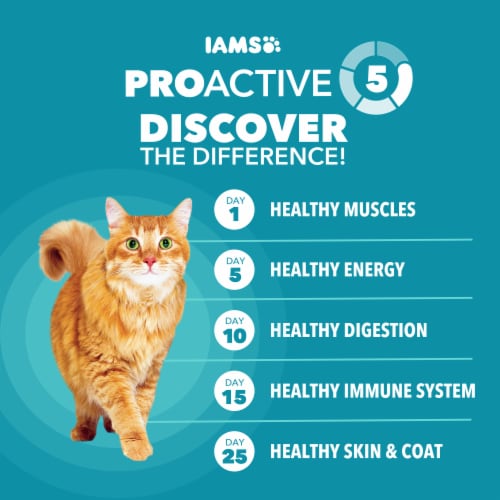 Iams Proactive Health Adult Dry Cat Food Indoor Weight Control & Hairball Care Chicken & Turkey - Iams Proactive Health Adult Dry Cat Food Indoor Weight Control & Hairball Care Chicken & Turkey