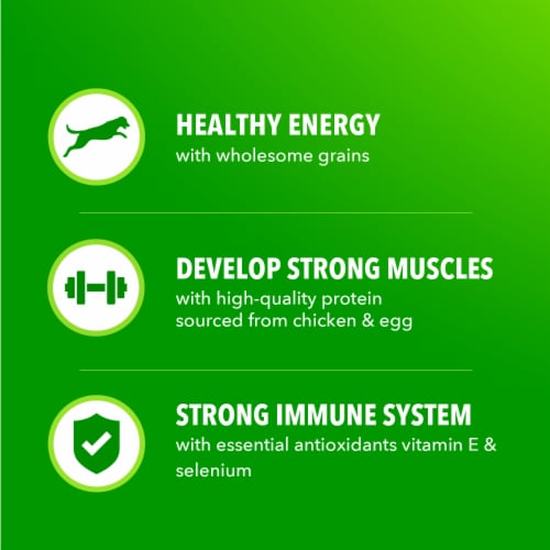 Iams Proactive Health Minichunks Adult Small Kibble Dry Dog Food Real Chicken Flavor - Iams Proactive Health Minichunks Adult Small Kibble Dry Dog Food Real Chicken Flavor