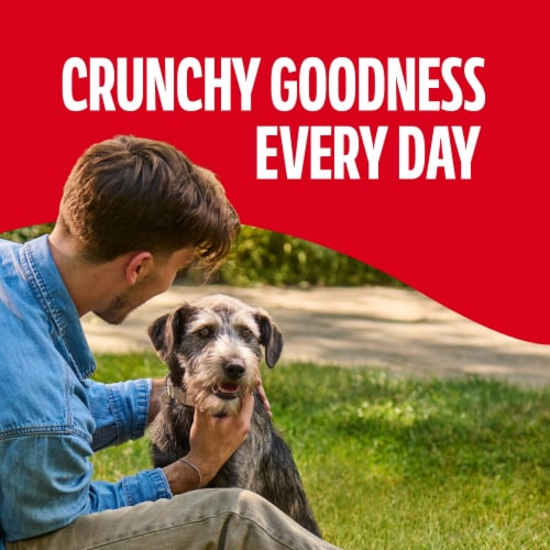 Milk-Bone GravyBones Dog Biscuits, Gravy Coated Small Dog Treats, 19 Oz. Box - Milk-Bone GravyBones Dog Biscuits, Gravy Coated Small Dog Treats, 19 Oz. Box