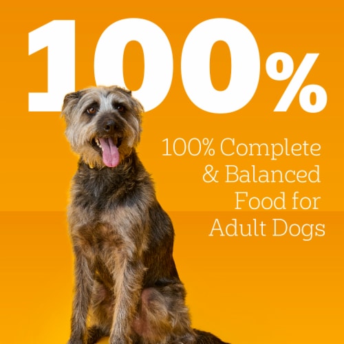 Pedigree Chopped Ground Dinner Adult Soft Wet Dog Food Pouch With Hearty Chicken - Pedigree Chopped Ground Dinner Adult Soft Wet Dog Food Pouch With Hearty Chicken