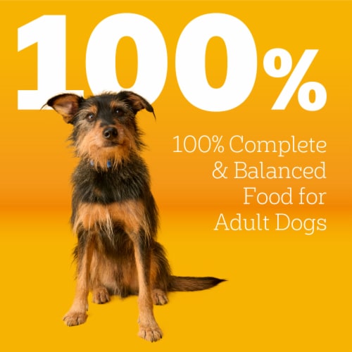 Pedigree Complete Nutrition Adult Dry Dog Food Roasted Chicken & Vegetable Flavor - Pedigree Complete Nutrition Adult Dry Dog Food Roasted Chicken & Vegetable Flavor