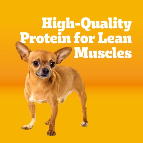 Pedigree Small Dog Adult Dry Dog Food Chicken Rice and Vegetable Flavor - Pedigree Small Dog Adult Dry Dog Food Chicken Rice and Vegetable Flavor