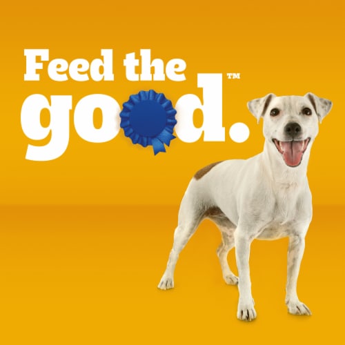 Pedigree Small Dog Adult Dry Dog Food Grilled Steak and Vegetable Flavor - Pedigree Small Dog Adult Dry Dog Food Grilled Steak and Vegetable Flavor