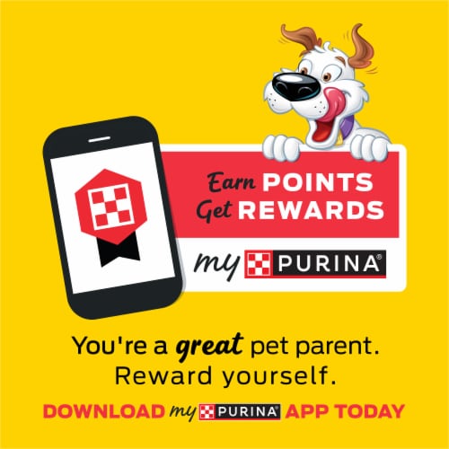 Purina Beggin' Strips Dog Treats with Bacon & Cheese Flavors - Purina Beggin' Strips Dog Treats with Bacon & Cheese Flavors