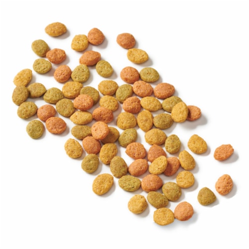 Purina Cat Chow Indoor Hairball + Healthy Weight Adult Dry Cat Food Real Chicken - 3.15 lb