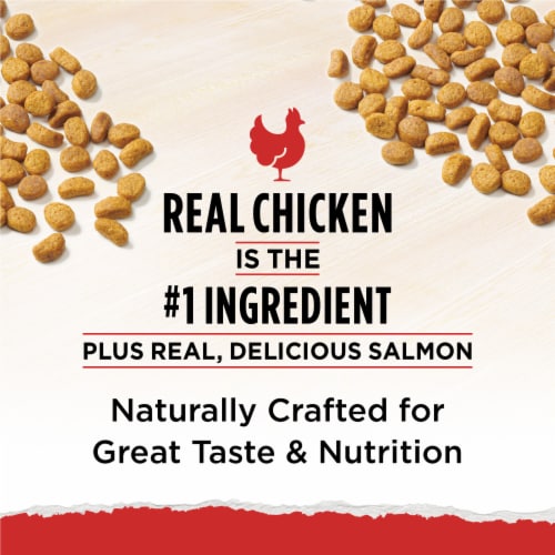 Purina Cat Chow Naturals Original Dry Cat Food Real Chicken & Salmon - Purina Cat Chow Naturals Original Dry Cat Food Real Chicken & Salmon