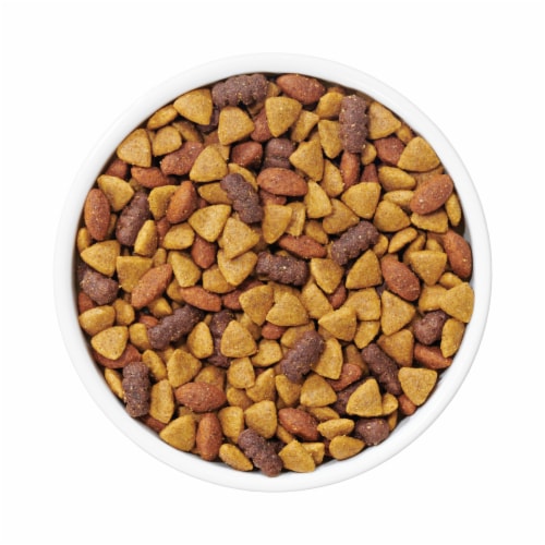 Purina Dog Chow Complete Adult Dry Dog Food Kibble With Chicken Flavor - Purina Dog Chow Complete Adult Dry Dog Food Kibble With Chicken Flavor