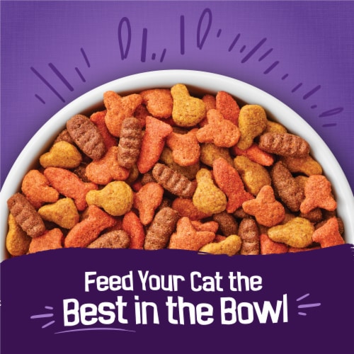 Purina Friskies Cat Food Surfin and Turfin Favorites Chicken, Whitefish, Salmon, and Filet Mignon - Purina Friskies Cat Food Surfin and Turfin Favorites Chicken, Whitefish, Salmon, and Filet Mignon