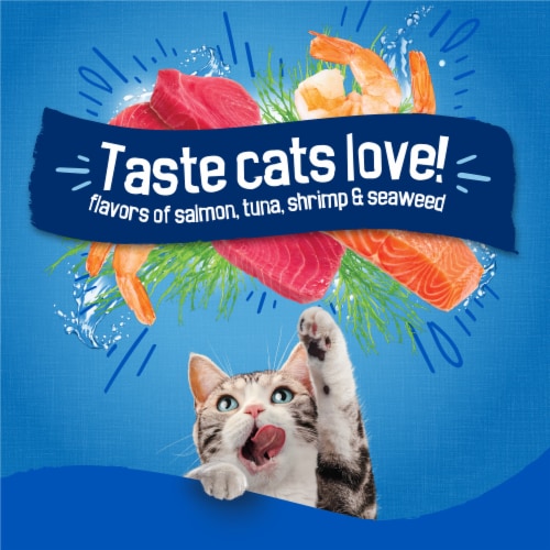 Purina Friskies Seafood Sensations Adult Dry Cat Food Seafood Flavors - Purina Friskies Seafood Sensations Adult Dry Cat Food Seafood Flavors