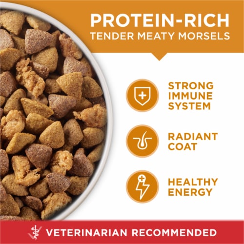 Purina ONE High Protein Adult Dry Dog Food Chicken & Rice - Purina ONE High Protein Adult Dry Dog Food Chicken & Rice