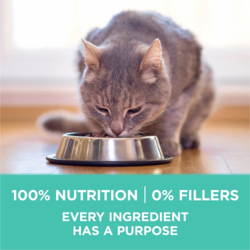Purina ONE +Plus Sensitive Skin & Stomach Adult Dry Cat Food Real Turkey - Purina ONE +Plus Sensitive Skin & Stomach Adult Dry Cat Food Real Turkey