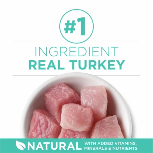 Purina ONE +Plus Sensitive Skin & Stomach Adult Dry Cat Food Real Turkey - Purina ONE +Plus Sensitive Skin & Stomach Adult Dry Cat Food Real Turkey