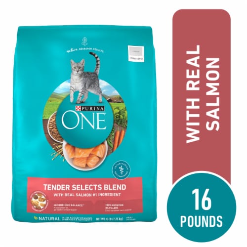 Purina ONE Tender Selects Adult Natural Dry Cat Food Real Salmon - Purina ONE Tender Selects Adult Natural Dry Cat Food Real Salmon