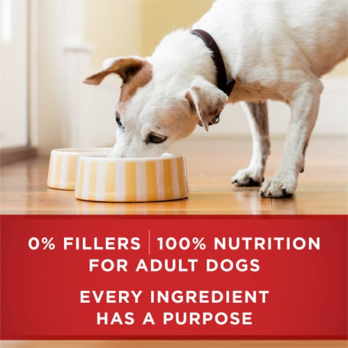Purina ONE Wet Dog Food Classic Ground Beef & Brown Rice Entrée - Purina ONE Wet Dog Food Classic Ground Beef & Brown Rice Entrée