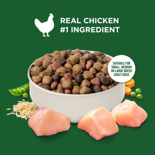 Rachael Ray Nutrish Adult Dry Dog Food Real Chicken & Veggies Recipe, 5 lb. - Rachael Ray Nutrish Adult Dry Dog Food Real Chicken & Veggies Recipe, 5 lb.
