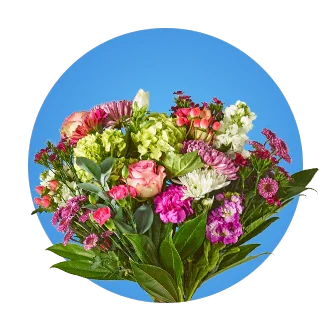 Bouquet of assorted flowers